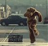 The Random Picture Contest-breakdancebear.gif